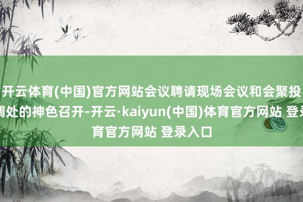 开云体育(中国)官方网站会议聘请现场会议和会聚投票相调处的神色召开-开云·kaiyun(中国)体育官