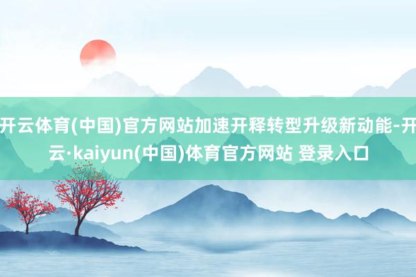 开云体育(中国)官方网站加速开释转型升级新动能-开云·kaiyun(中国)体育官方网站 登录入口