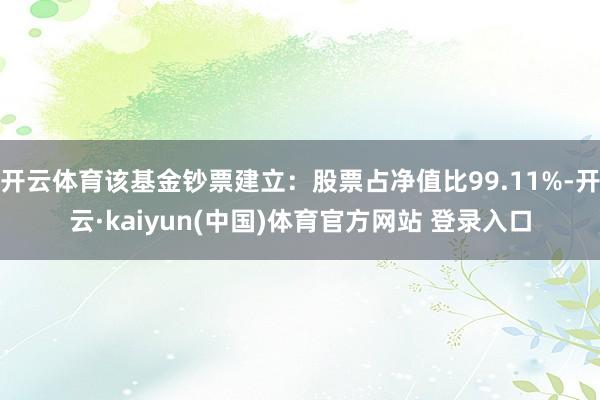 开云体育该基金钞票建立：股票占净值比99.11%-开云·kaiyun(中国)体育官方网站 登录入口