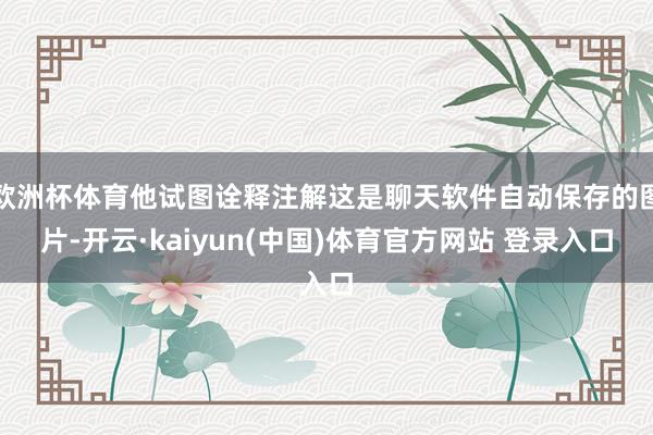 欧洲杯体育他试图诠释注解这是聊天软件自动保存的图片-开云·kaiyun(中国)体育官方网站 登录入口