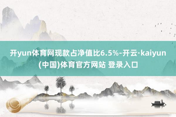 开yun体育网现款占净值比6.5%-开云·kaiyun(中国)体育官方网站 登录入口