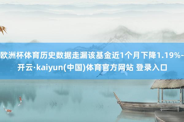 欧洲杯体育历史数据走漏该基金近1个月下降1.19%-开云·kaiyun(中国)体育官方网站 登录入口