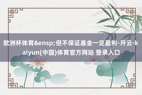 欧洲杯体育&ensp;但不保证基金一定盈利-开云·kaiyun(中国)体育官方网站 登录入口