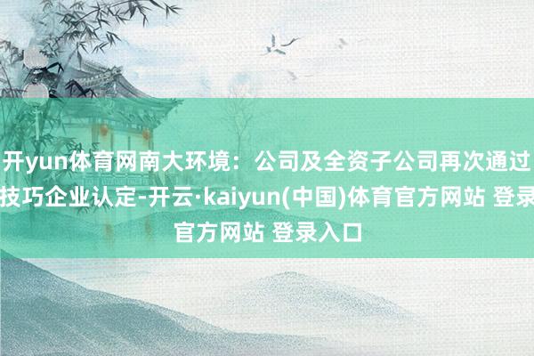 开yun体育网南大环境：公司及全资子公司再次通过高新技巧企业认定-开云·kaiyun(中国)体育官方网站 登录入口