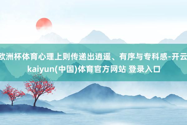 欧洲杯体育心理上则传递出逍遥、有序与专科感-开云·kaiyun(中国)体育官方网站 登录入口