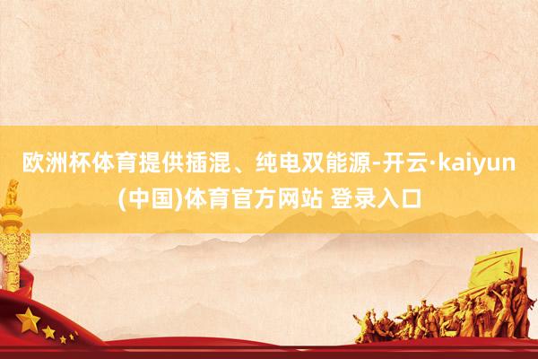 欧洲杯体育提供插混、纯电双能源-开云·kaiyun(中国)体育官方网站 登录入口
