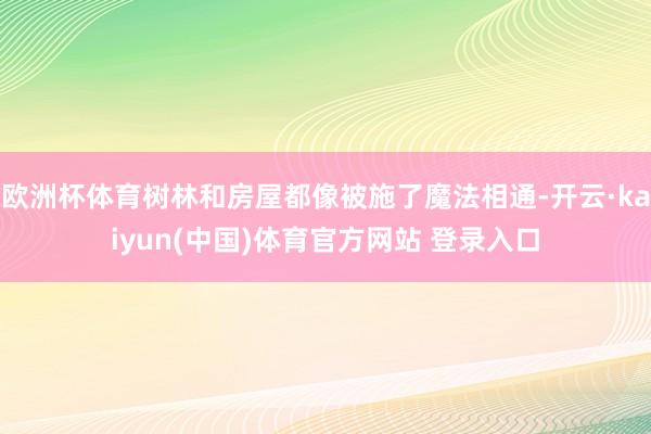 欧洲杯体育树林和房屋都像被施了魔法相通-开云·kaiyun(中国)体育官方网站 登录入口